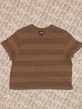 The North Face Brown Wide-Stripe Crewneck Tee
